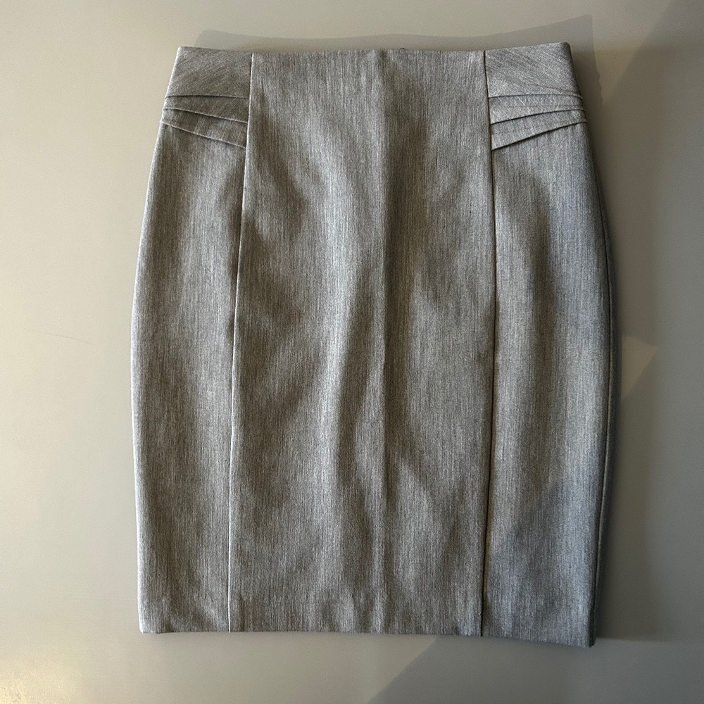 Express Pencil Skirt